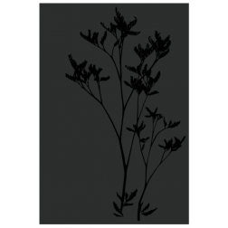 Plaque protection murale JERSEY acier noir givré Dixneuf - 027.10827.82N3
