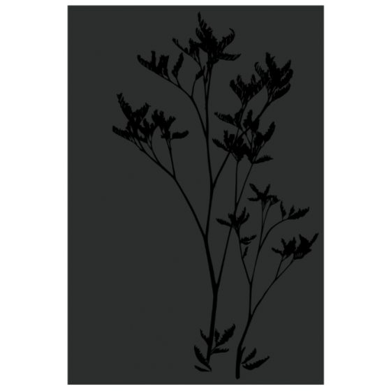 Plaque protection murale JERSEY acier noir givré Dixneuf - 027.10827.82N3