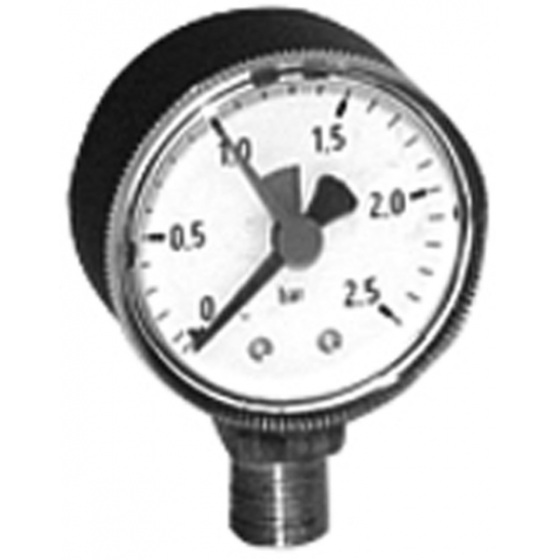 Purge et manomètre pour filtre BWT 500 EH / 610 - 27931156