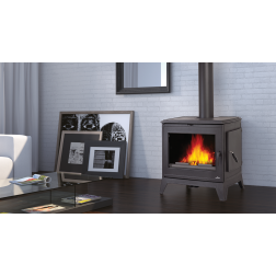 Poêle à bois en fonte Bronpi DERBY gris anthracite 14 kW avec porte latérale