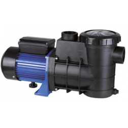 Pompe de filtration Bering auto-amorçante mono