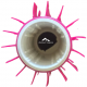 Brosse PVC Cb Dyn Magenta pour robots Dolphin D210 et 2001 Vintage - 6130123