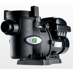 Pompe ZODIAC FloPro VS AUT - WP000079