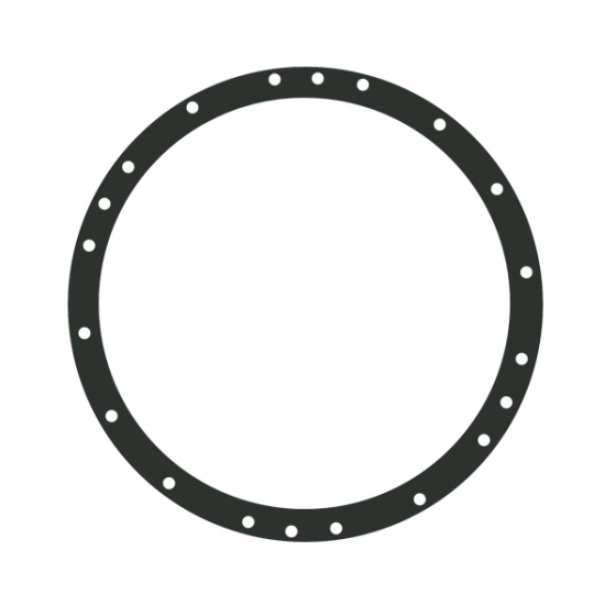 Joint Bride Projecteur SARRAGAN Ø Ext 262 mm - par 2 - 854210